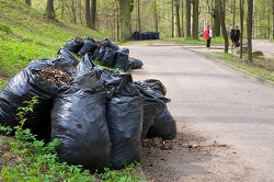 Bayswater Garden Rubbish Clearance W2